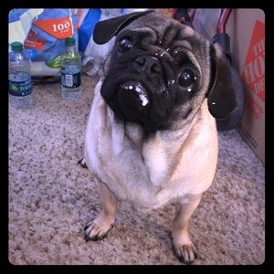 Spring 2018 wishing all the best